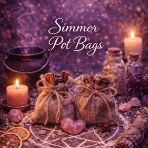 Simmer Pot Bag 🫕